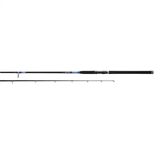 Daiwa Fishing Rod Beefstick
