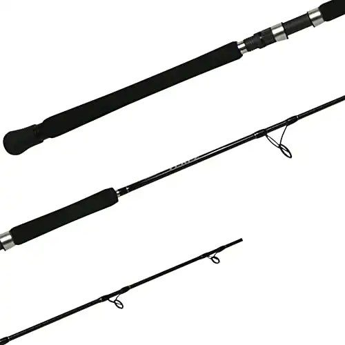 Shimano Terez Casting Saltwater