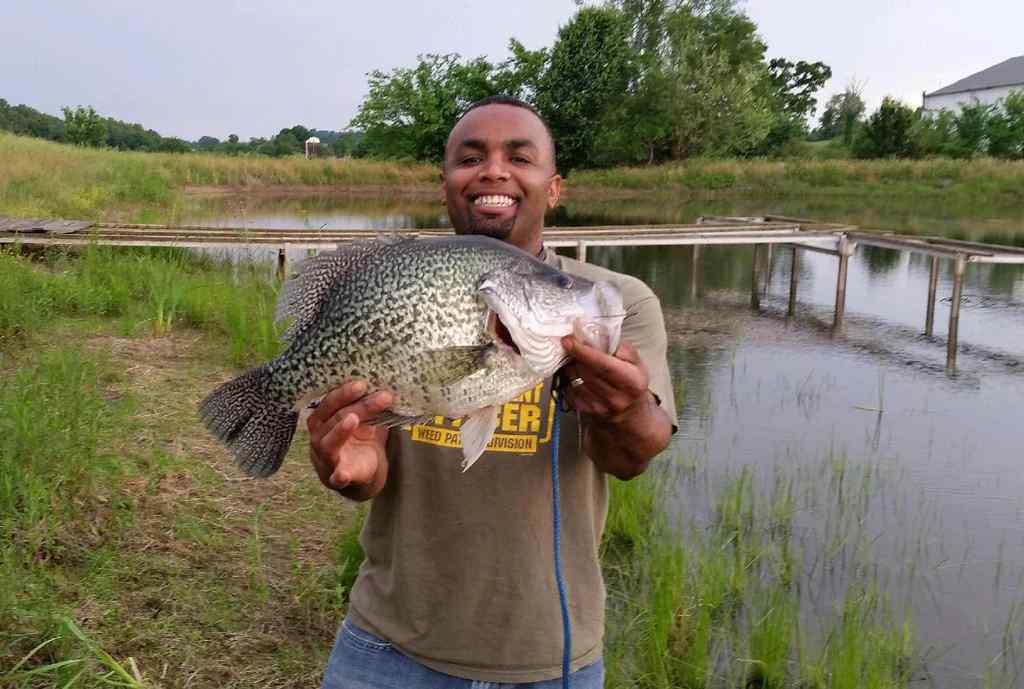 Crappie