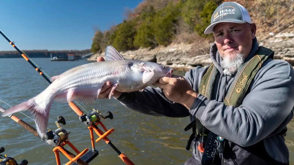catching catfish in fall