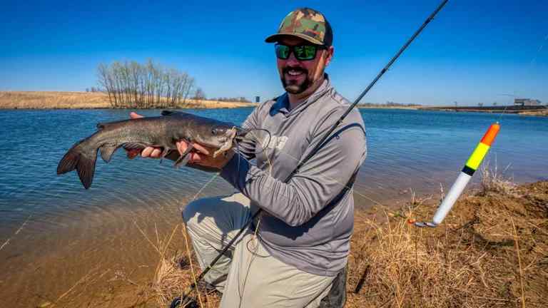 catching catfish in summer