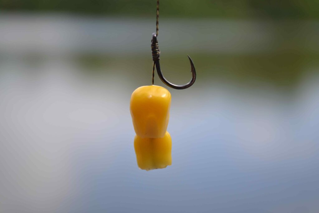 is it legal to use corn as fish bait