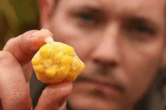 is it legal to use corn for chumming